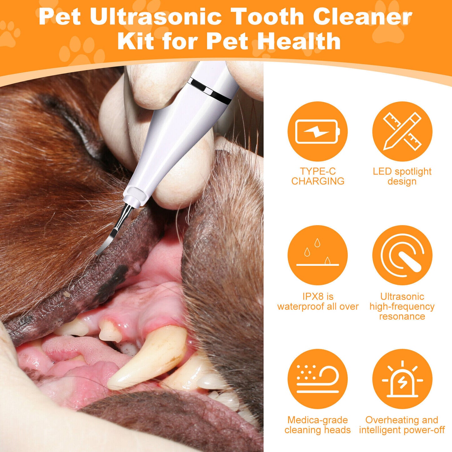 PawsomelyClean™ 2nd Generation Ultrasonic Tooth Cleaner