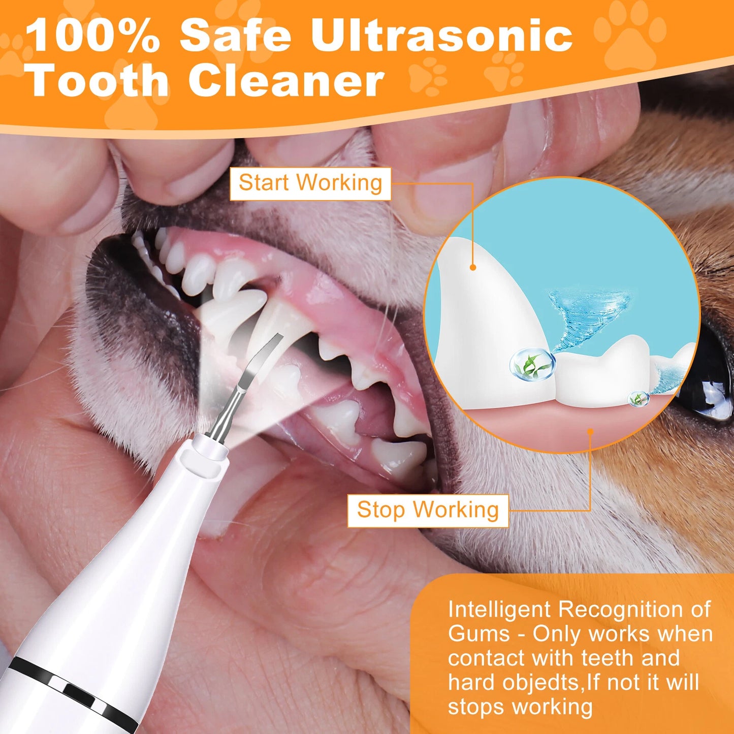 PawsomelyClean™ 2nd Generation Ultrasonic Tooth Cleaner