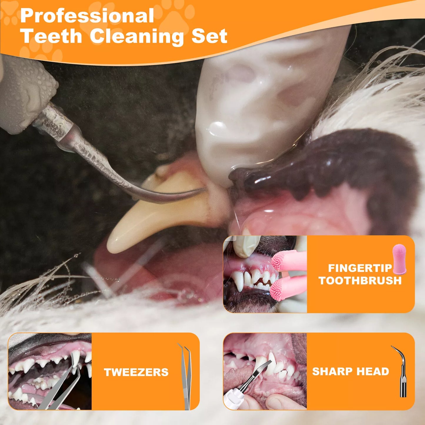 PawsomelyClean™ 2nd Generation Ultrasonic Tooth Cleaner