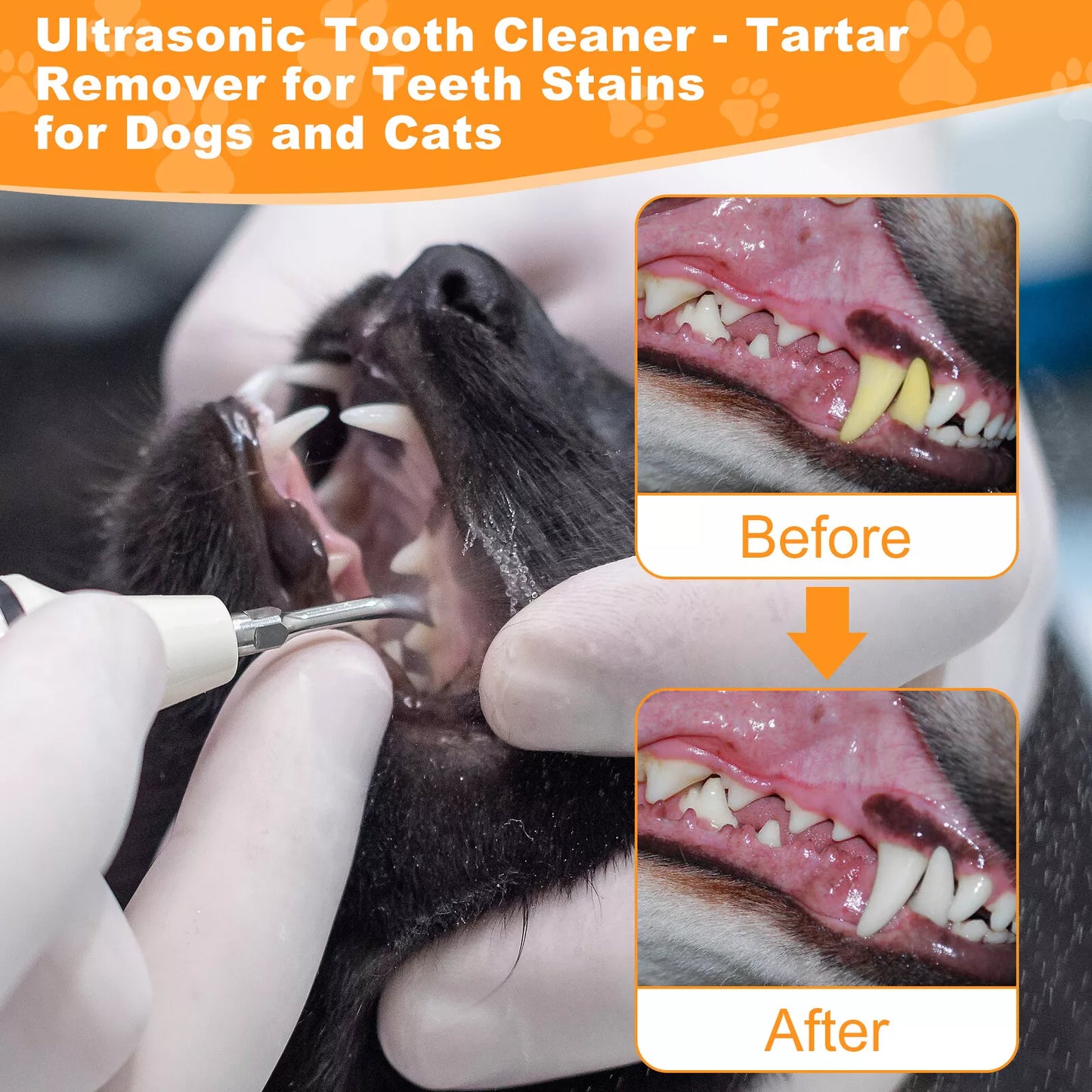 PawsomelyClean™ 2nd Generation Ultrasonic Tooth Cleaner