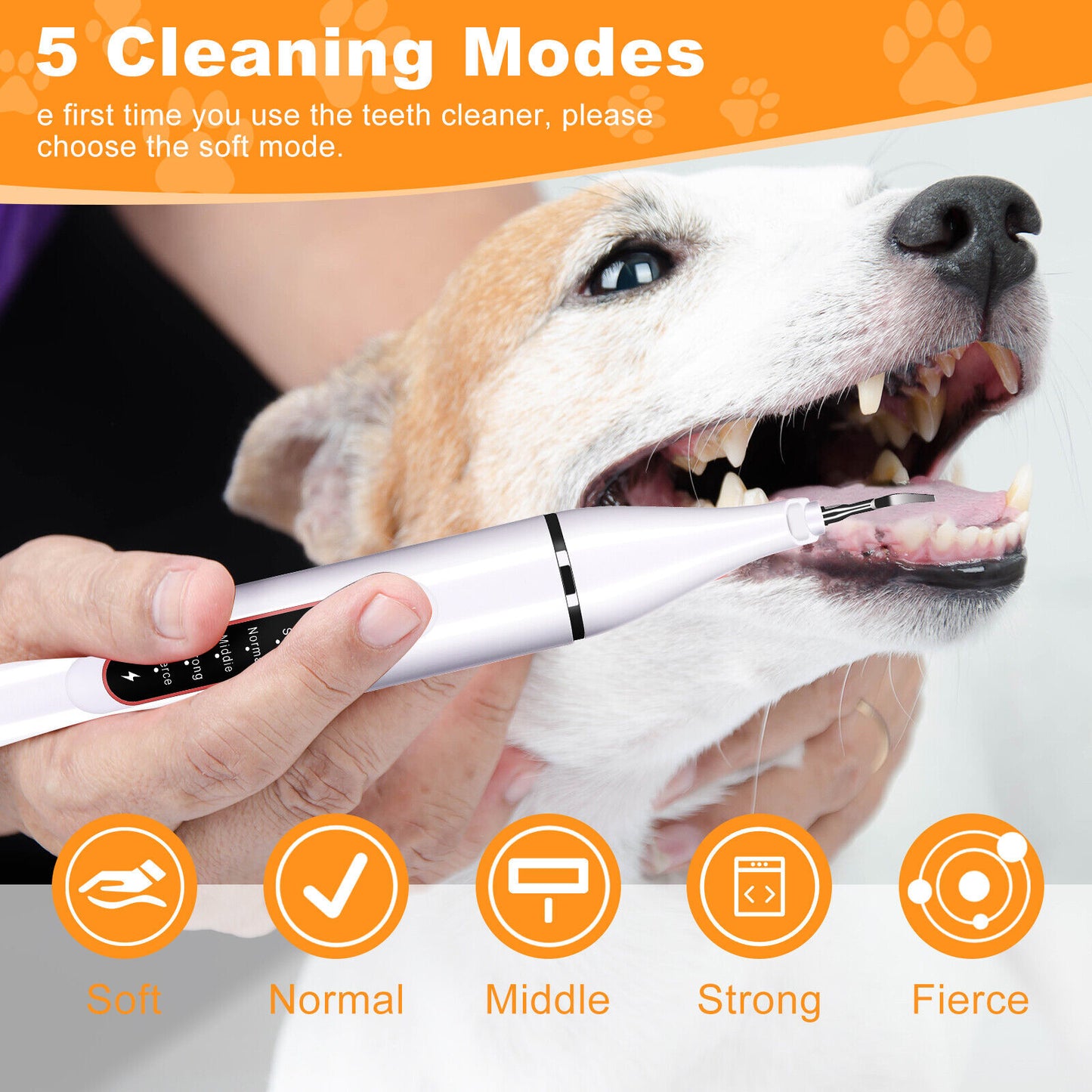 PawsomelyClean™ 2nd Generation Ultrasonic Tooth Cleaner
