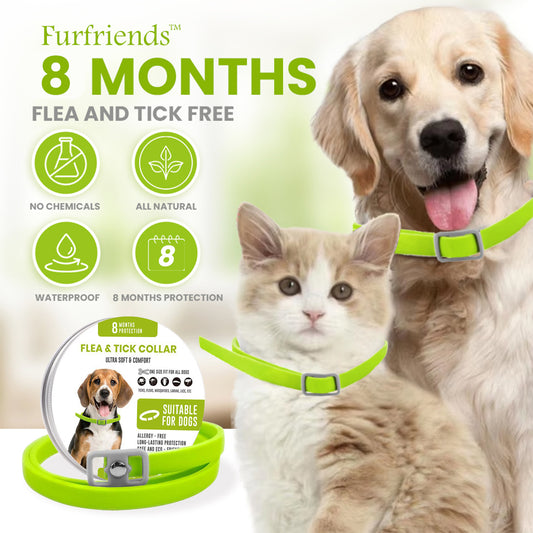 Furfriends™ 8-Month Flea & Tick Shield 🛡️ - Pet Protection That Actually Works!